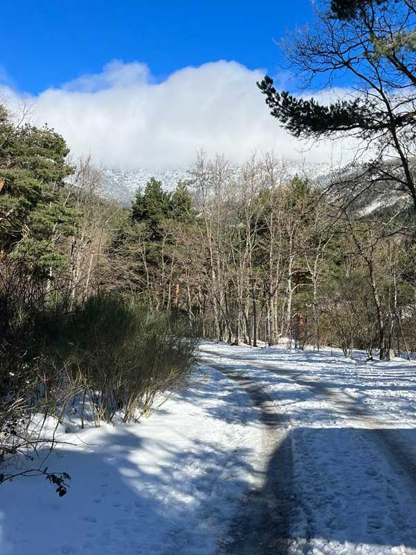 Camorritos-en-plena-naturaleza-de-la-sierra-de-guadarrama