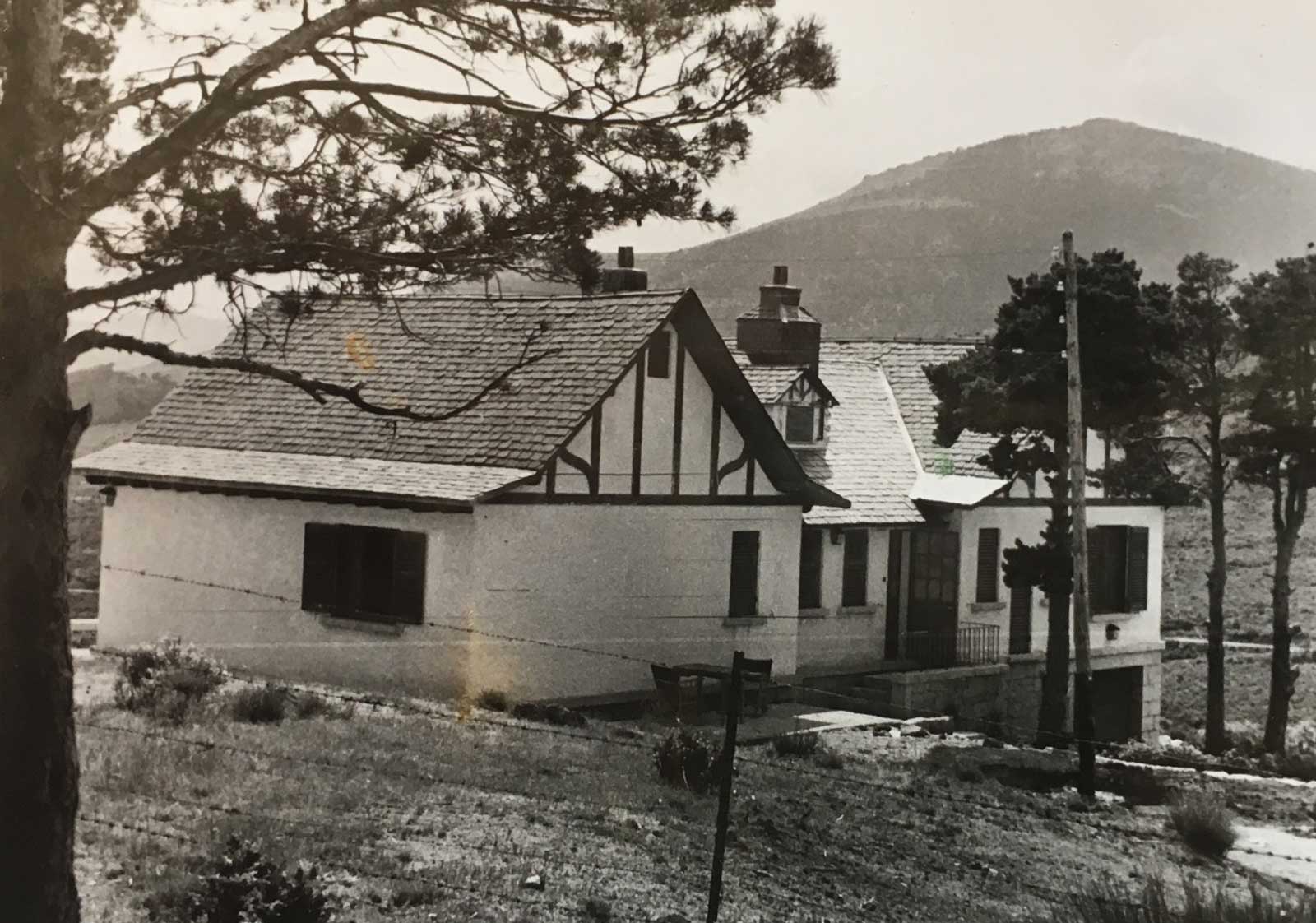 imagenes de la colonia camorritos