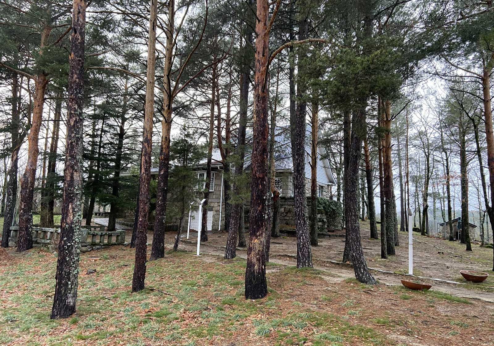 imagenes de la colonia camorritos